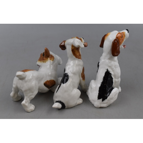 187 - Three Royal Doulton Porcelain Jack Russell's, Tallest Approx 4.5