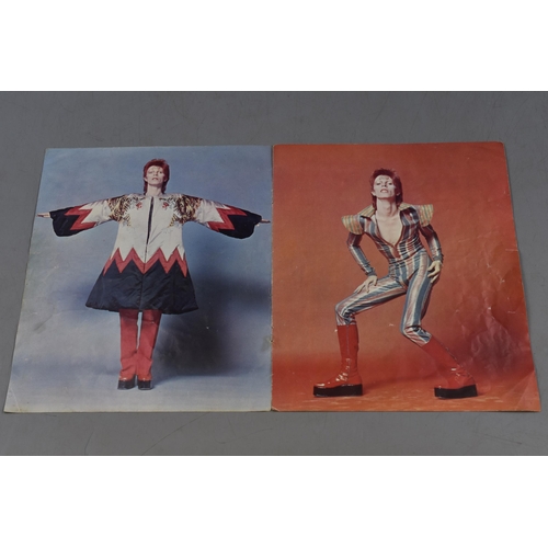 Cody Foster David Bowie Ziggy Stardust Glass Christmas Ornament – 4.75"