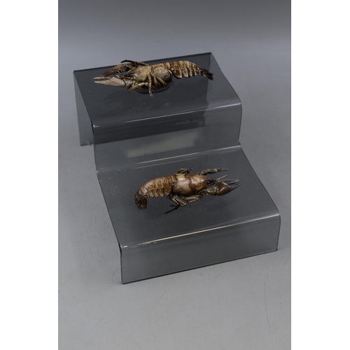 108 - Two Taxidermy Crayfish on Perspex Stand 6