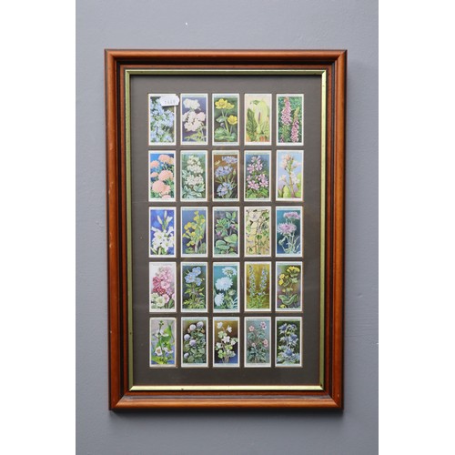 403 - Two Framed and Glazed Cigarette Card Sets. Includes Will's Wild Flowers, And Players Birds. Both App... 