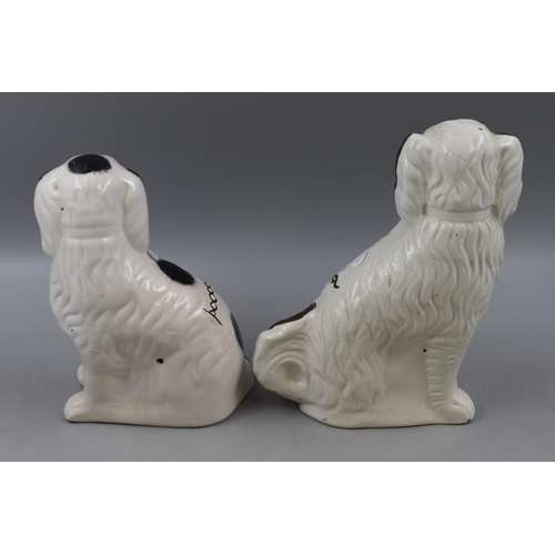 259 - Two Staffordshire Fireside Dogs. Black Spotted And Gold Spotted. Tallest Approx 10