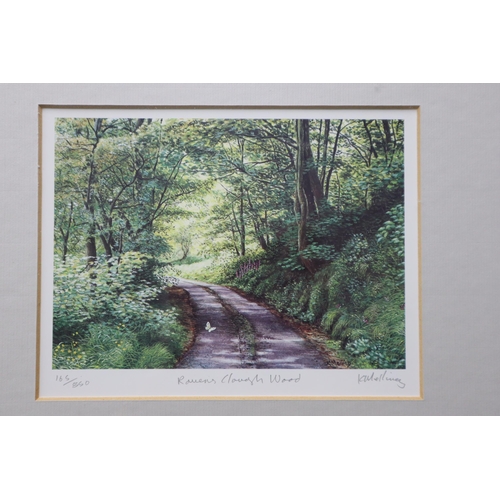 751 - Selection of 3 Framed & Glazed Limited Printed Paintings by Keith Melling Including 391/750 Nove... 