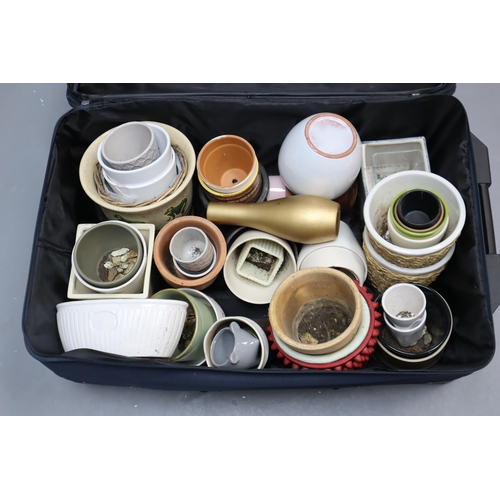 802 - Large Selection of Indoor Ceramic Plant Pots in Suitcase