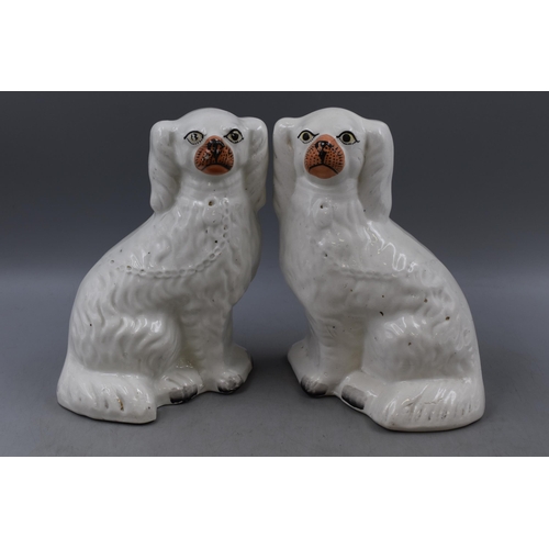 323 - Pair of Victorian Staffordshire Fire Dogs (10