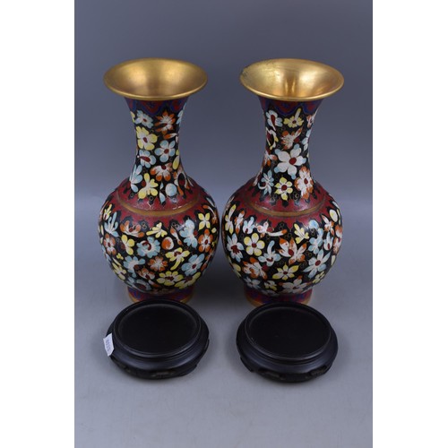 258 - Pair of Matching Cloisonné Vase complete with Hand Carved Wooden Plinths (11