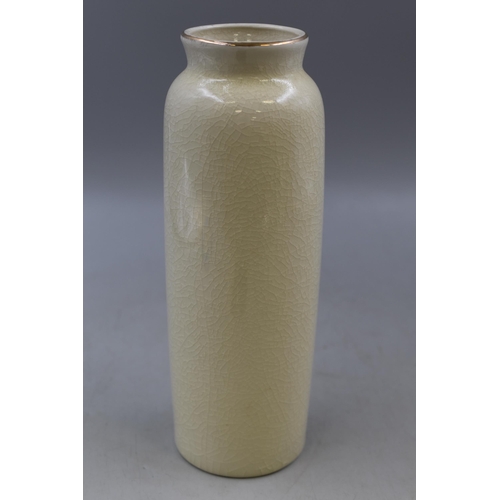 260 - Japanese Satsuma Vase (10