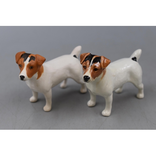 266 - A Pair of Beswick Porcelain Figures of Jack Russells, Approx 3