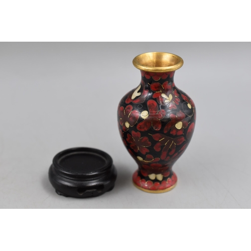 272 - Chinese Cloisonné Vase Standing on Hand carved Wooden Plinth