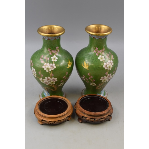 276 - Matching Pair of Chinese Cloisonné Vases Standing on Hand Carved Wooden Plinths (10