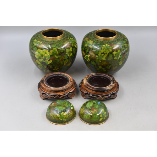 286 - Pair of Chinese Cloisonné Ginger Jars Standing on Hand Carved Wooden Plinth (8