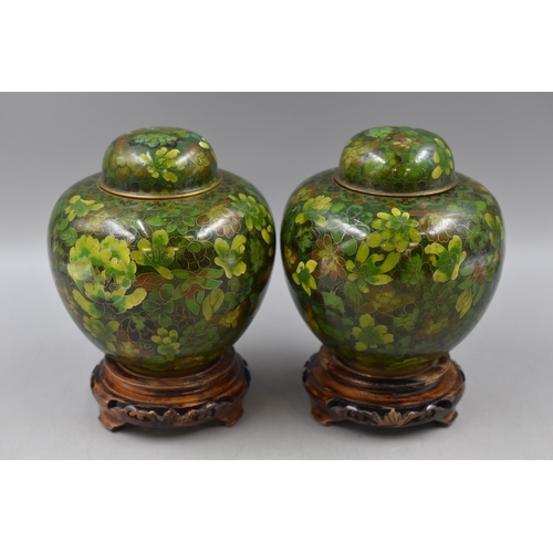 286 - Pair of Chinese Cloisonné Ginger Jars Standing on Hand Carved Wooden Plinth (8