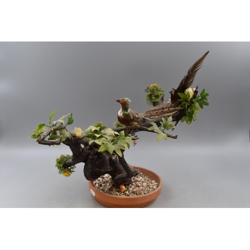 306 - Large Vintage Bonsai Tree with Real Feathered Birds Display approx 19