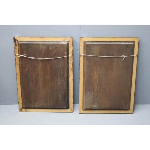 422 - Two Antique Hand Carved Wooden Framed Door Panels (Approx. 23” x 17”)