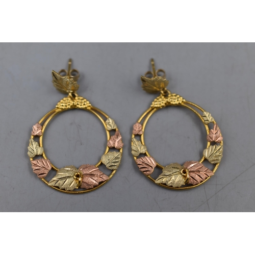 14 - Pair of Three Tone Gold Marked 375 (10ct) Hoop Earrings with Grape Design. Complete with Presentatio... 