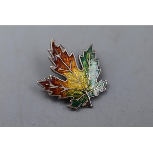 52 - Vintage Sterling Silver Enamelled Maple Leaf Brooch (2.5cm)