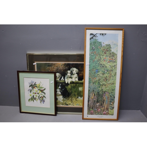 809 - Three Framed and Glazed Artworks. To Include Original Floral Watercolour By Edith Moore, David Shepa... 