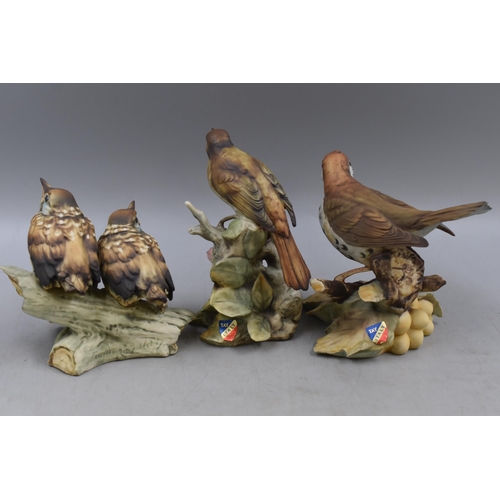 206 - Three Tay Italy Ceramic Bird Figures. Includes Nightingale, Black Bird and Other. Tallest Approx 6.5... 