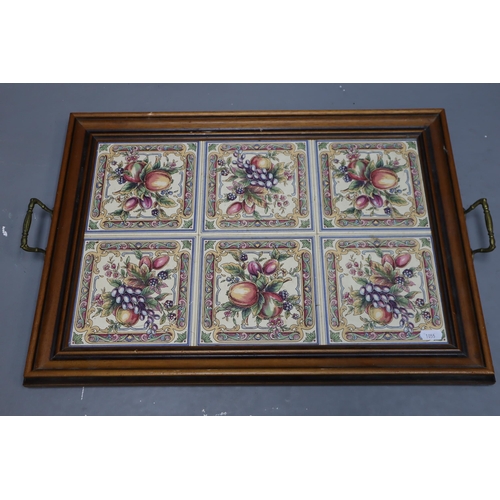 479 - Mixed Lot to include Decorative Tiled Tray and a Framed Embroidered Tea Tray (Largest Tray Approx. 2... 