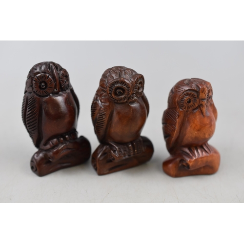 310 - Three Boxwood Hand Carved Netsuke Owl Figures