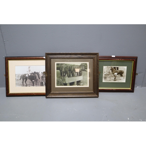 923 - Three Vintage Horse Related Prints, one entitled Reynoldstown 1936 (Largest Approx. 17” x 14&r... 