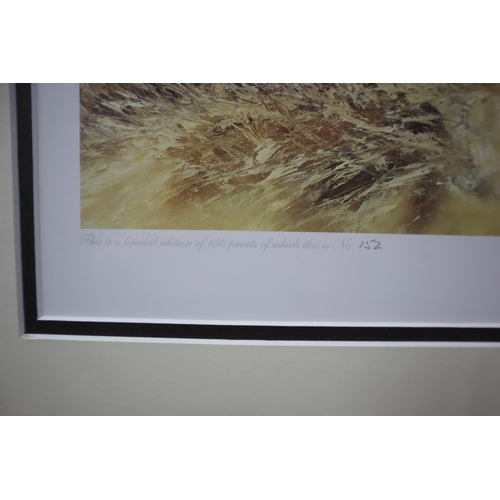 464 - Framed and Glazed Signed Mick Cawston Limited Edition Print 152/850 Depicting Hunting Scenes approx ... 