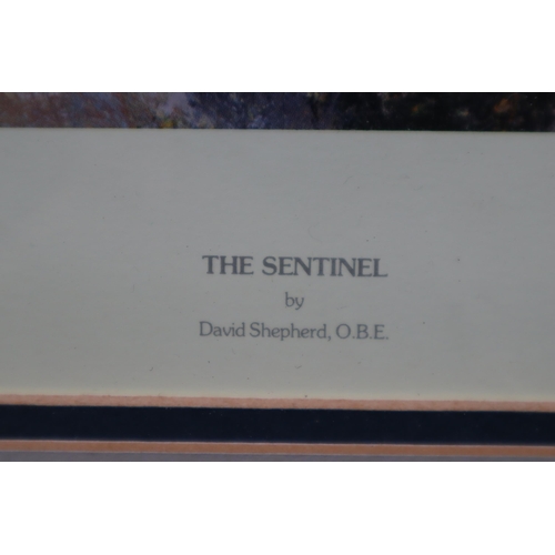 469 - David Shepherd Limited Edition (1010/1500) Signed Print entitled The Sentinel in Framed and Glazed M... 