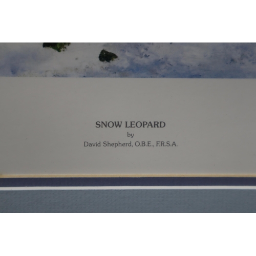 470 - Limited Edition (938/950) David Shepherd Signed Print entitled Snow Leopard in Framed and Glazed Mou... 