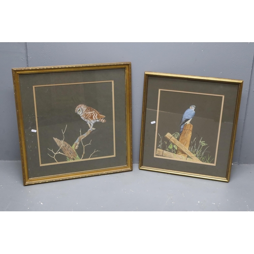 508 - Two Framed and Glazed A.K Linley Bird Pencil Sketches, Includes Merlin and Little Owl. Largest Appro... 