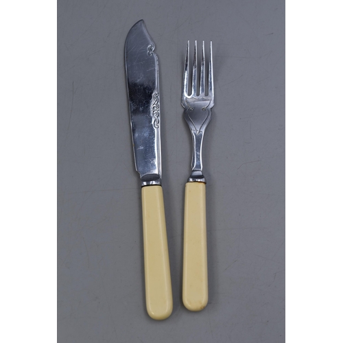 528 - Vintage Cutlery Canteen Containing a Selection of Fish Knives and Forks