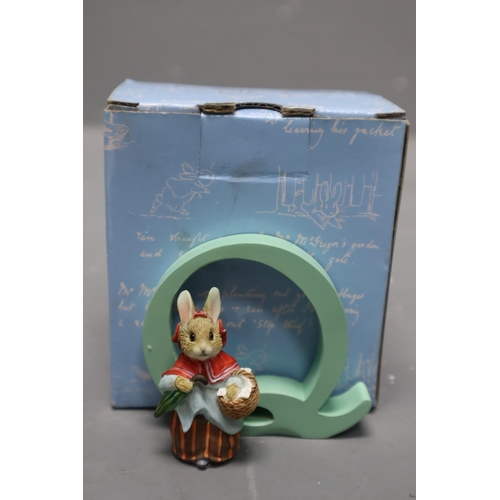 537 - Selection of Ten Peter Rabbit Alphabet Letters in Boxes. L, E, P, Y, V, T, W, X, Z and Q