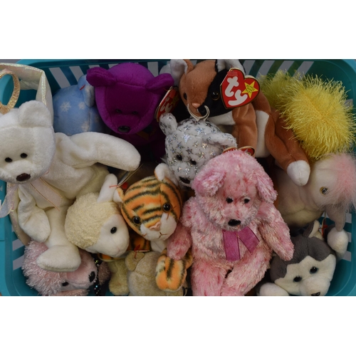 551 - Mixed Selection of TY Teddies Approx.14