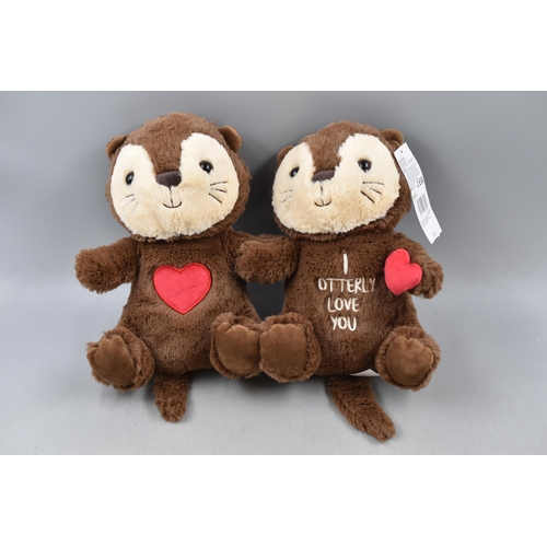 820 - Otter Soft Toy with Tag 