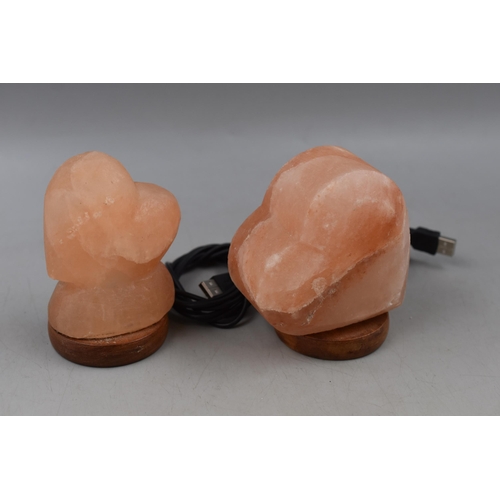 617 - Two Himalayan Salt Lamps