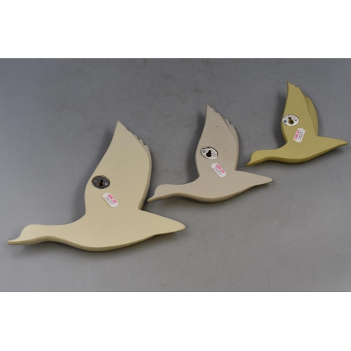 386 - Three Wall Hanging Flying Ducks Largest 9