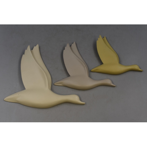 386 - Three Wall Hanging Flying Ducks Largest 9