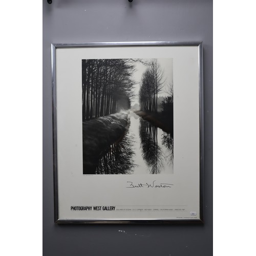 729 - Brett Weston Framed and Glazed Photograph From the Photography West Gallery of California (30