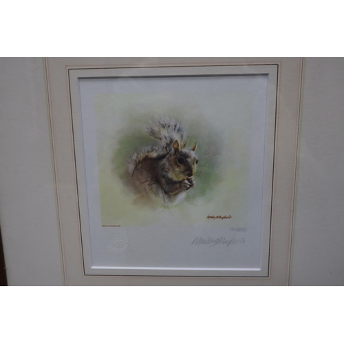 708 - Three Framed and Glazed Limited Edition Signed Mandy Shepherd Animal Prints, Approx 13.5