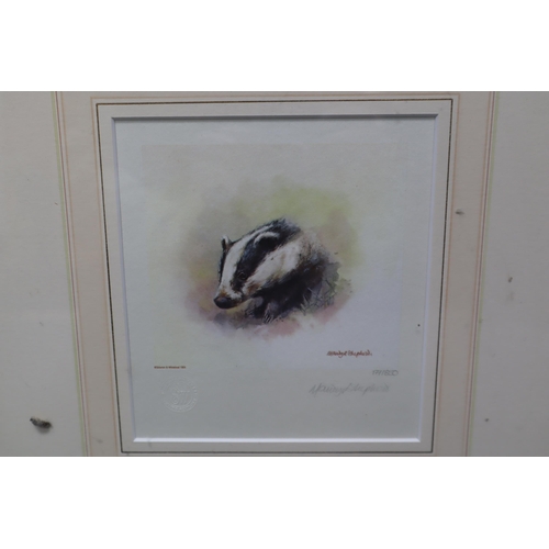 708 - Three Framed and Glazed Limited Edition Signed Mandy Shepherd Animal Prints, Approx 13.5