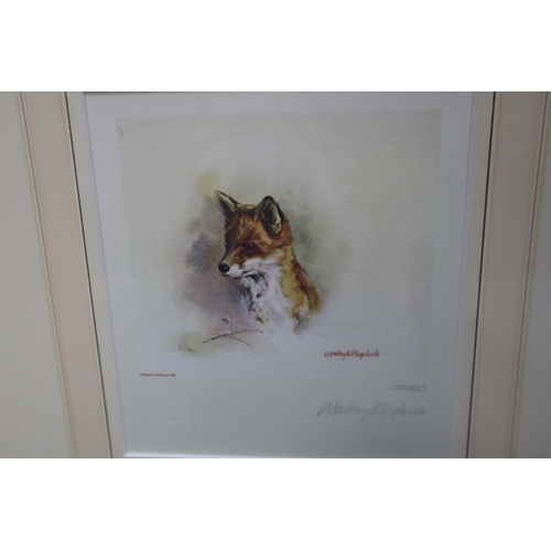 708 - Three Framed and Glazed Limited Edition Signed Mandy Shepherd Animal Prints, Approx 13.5