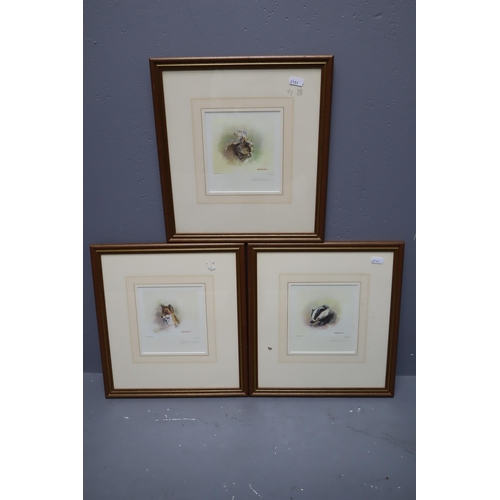 708 - Three Framed and Glazed Limited Edition Signed Mandy Shepherd Animal Prints, Approx 13.5