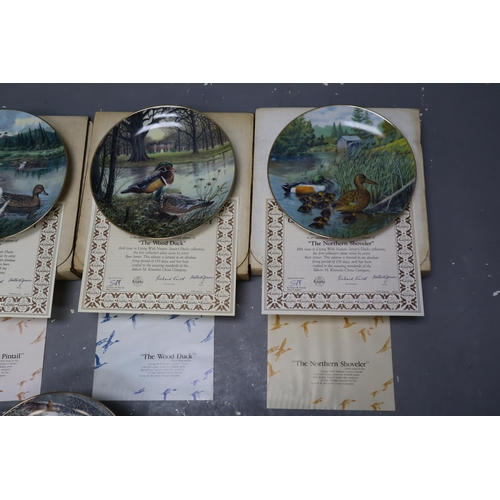 902 - A Selection of Seven Collectors Plates With Certificates. Includes Five Duck Plates, Cameo Collector... 