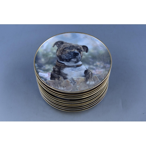 339 - Selection of Twelve Staffordshire Bull Terrier Collectors Plates By Paul Doyle