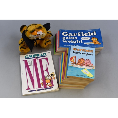 454 - Collection of 'Garfield' Comic Books And Window Garfield Teddy