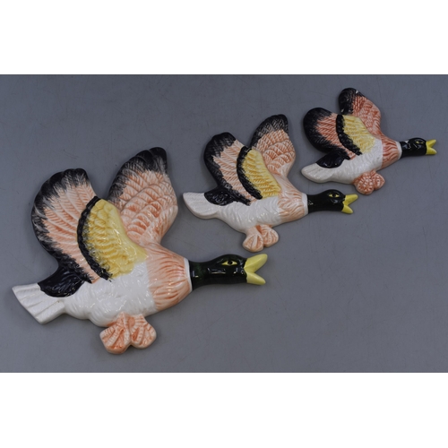 293 - Three Ceramic Wall Mounted Flying Ducks