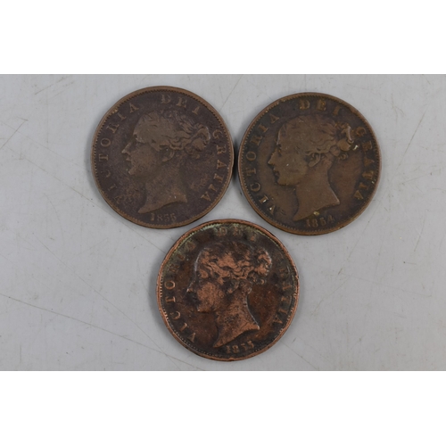 135 - Three Victoria Half Penny Coins, 1854 and Two 1855