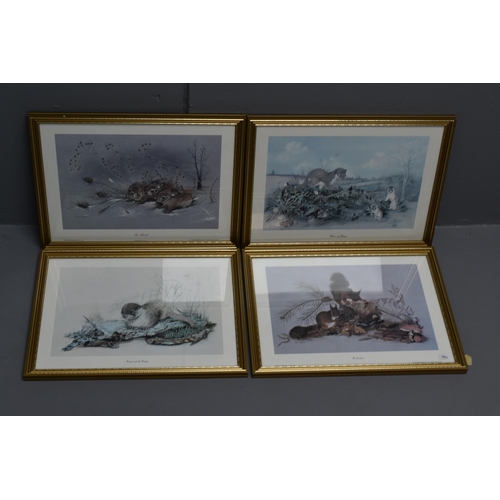 65 - Four Animal Prints by Rita Parsons to include Squirrels, Rabbits and Otters. Framed and Glazed (16&r... 