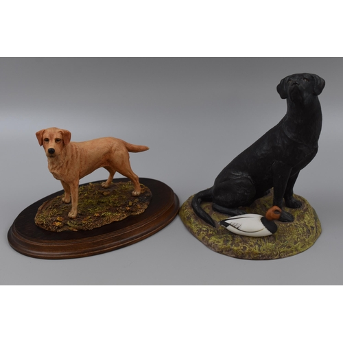 204 - Limited Edition Franklin Mint Retriever with COA and a Country Artists Labrador both Complete with P... 