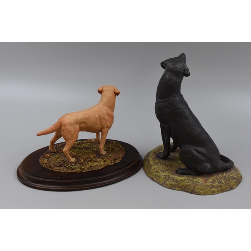 204 - Limited Edition Franklin Mint Retriever with COA and a Country Artists Labrador both Complete with P... 