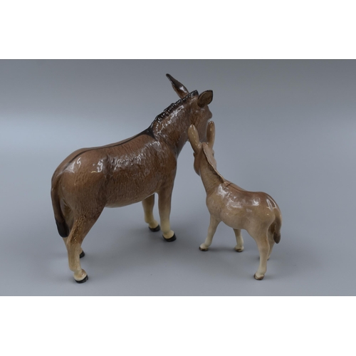 225 - Two Beswick Donkey Figures in Gloss Finish (Largest 6