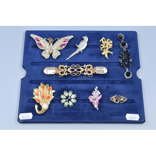 144 - Selection of Brooches, Earring and More